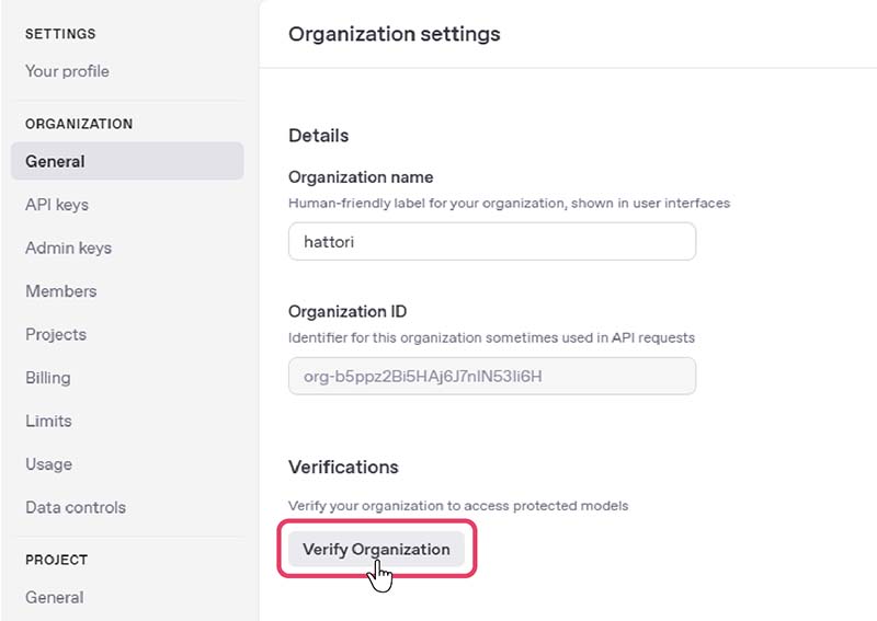 API_organization01